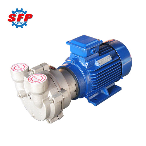 2BV Water Ring Vacuum Pump